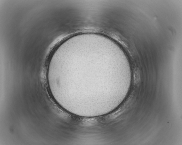 X0000111381454200908211329