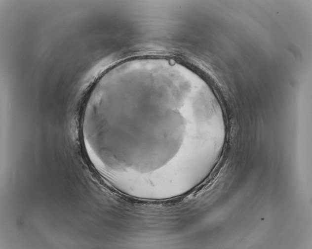 X0000111381455200908211329