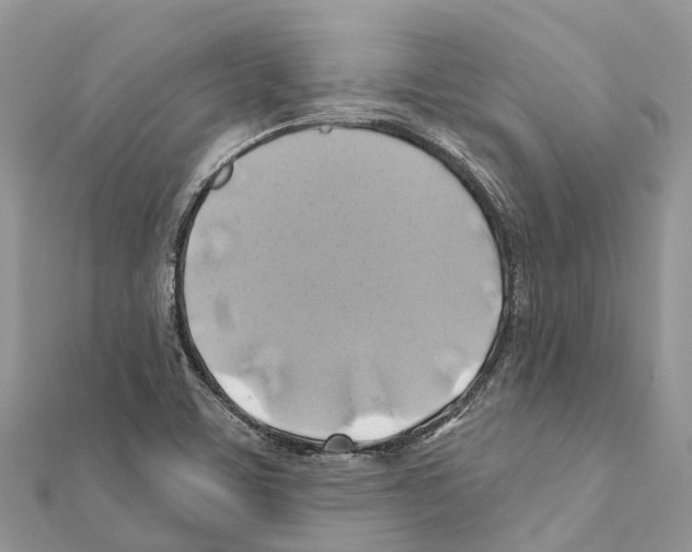 X0000111381459200908211329