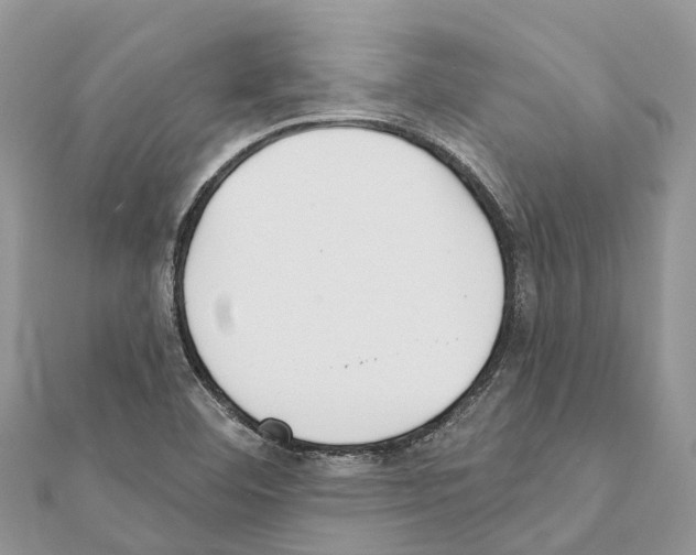 X0000111381460200908211329