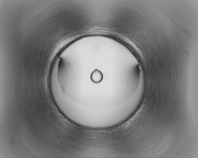 X0000111381461200908211329