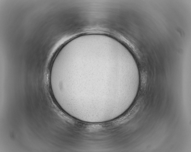 X0000111381462200908211329