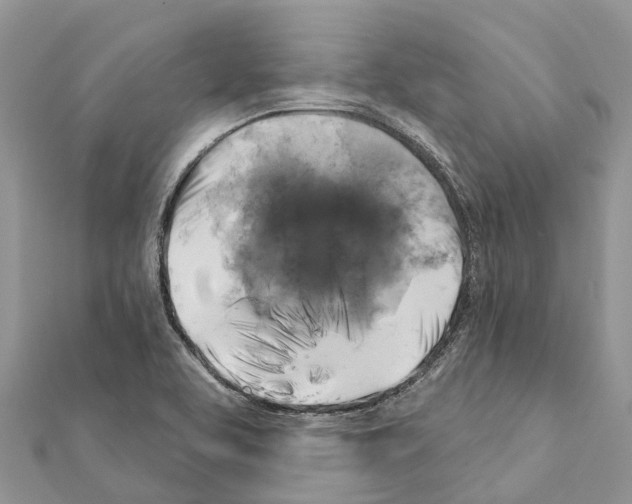 X0000111381463200908211329