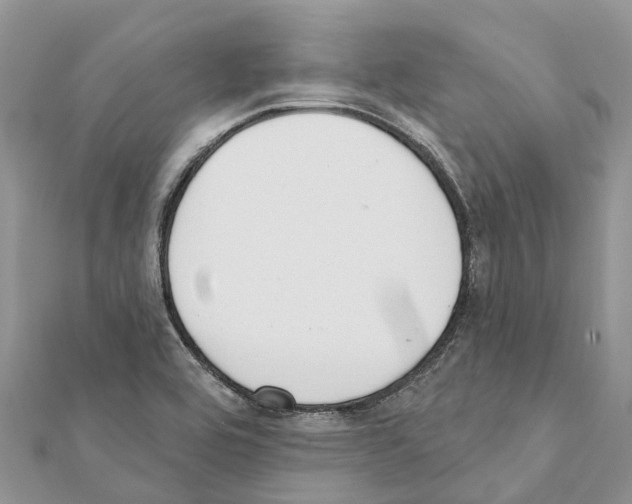 X0000111381464200908211329