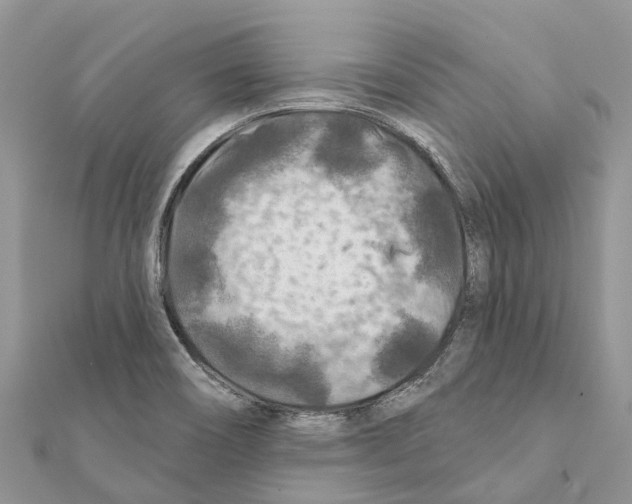 X0000111381466200908211329