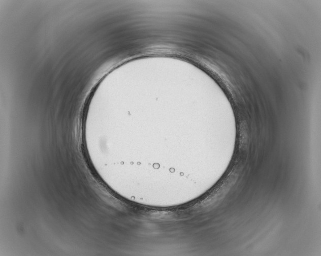 X0000111381467200908211329