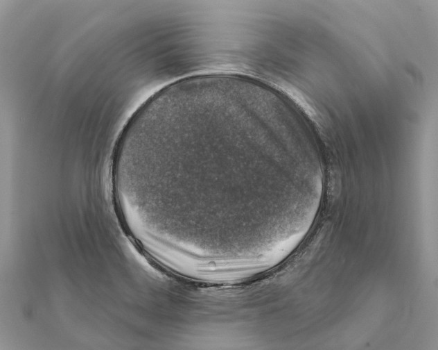 X0000111381468200908211329