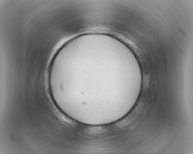 X0000111381470200908211329