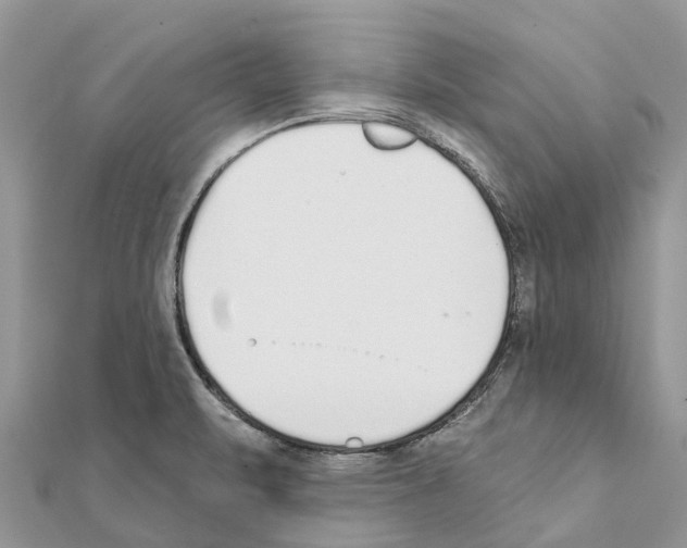 X0000111381471200908211329