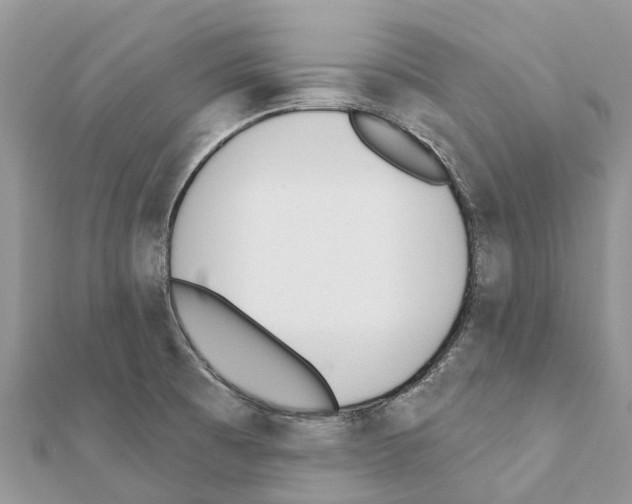 X0000111381473200908211329