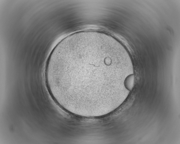 X0000111381475200908211329