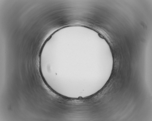 X0000111381476200908211329