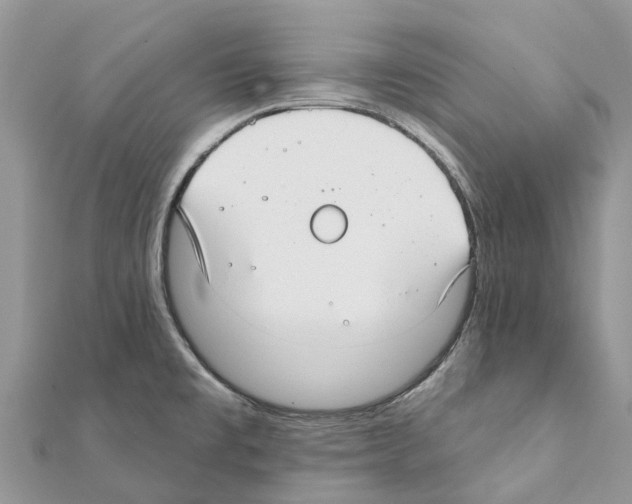 X0000111381477200908211329