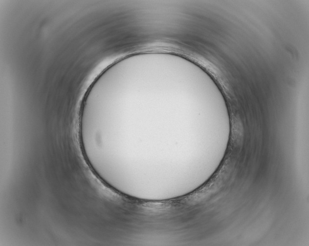 X0000111381478200908211329