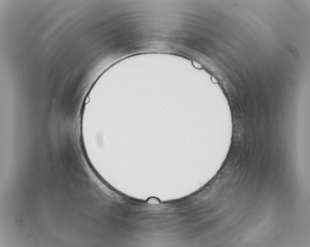 X0000111381479200908211329