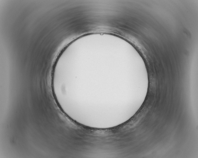 X0000111381480200908211329