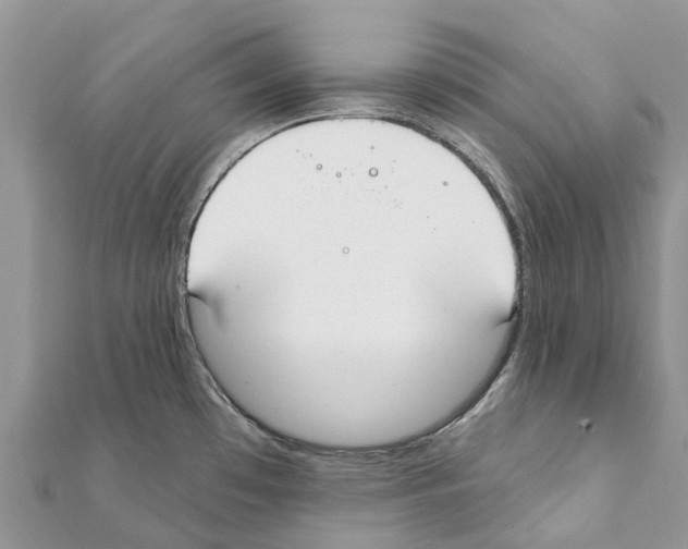 X0000111381481200908211329