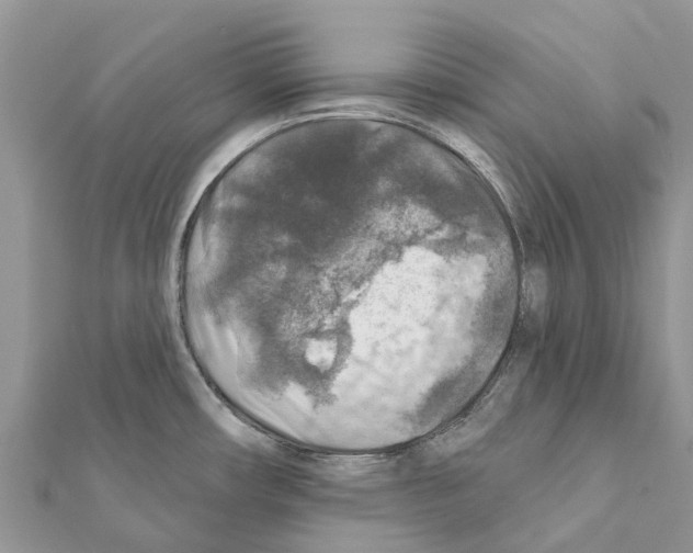 X0000111381482200908211329