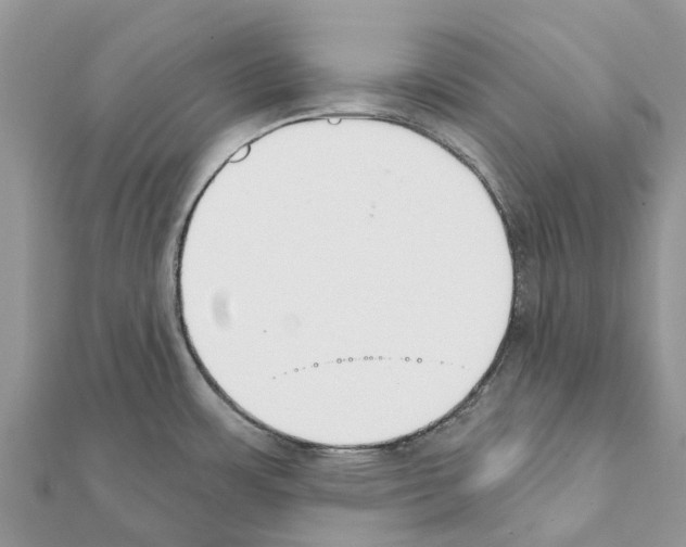 X0000111381483200908211329