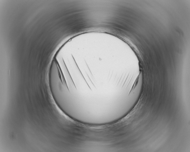 X0000111381484200908211329