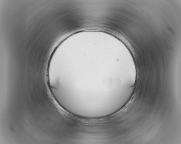 X0000111381485200908211329