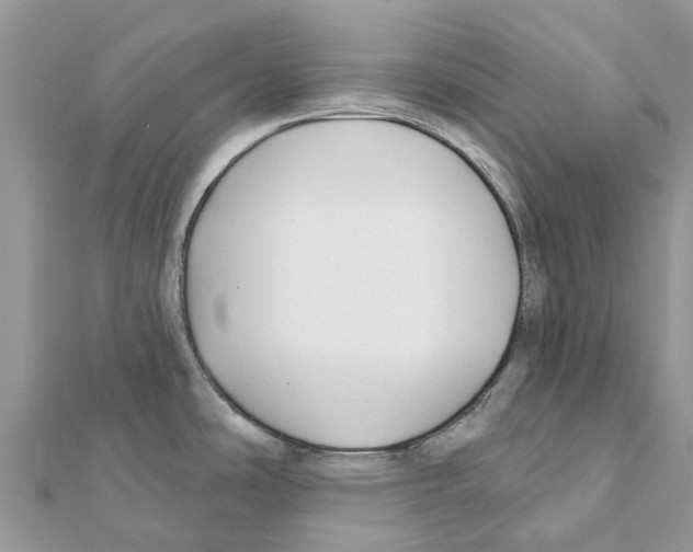 X0000111381486200908211329