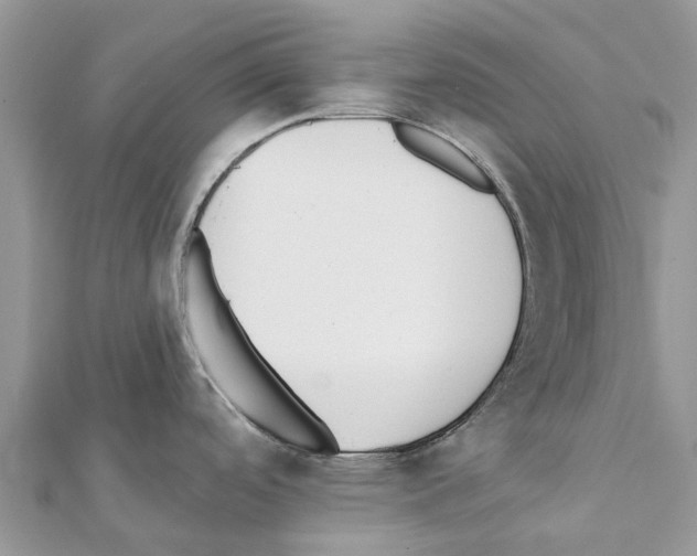 X0000111381488200908211329