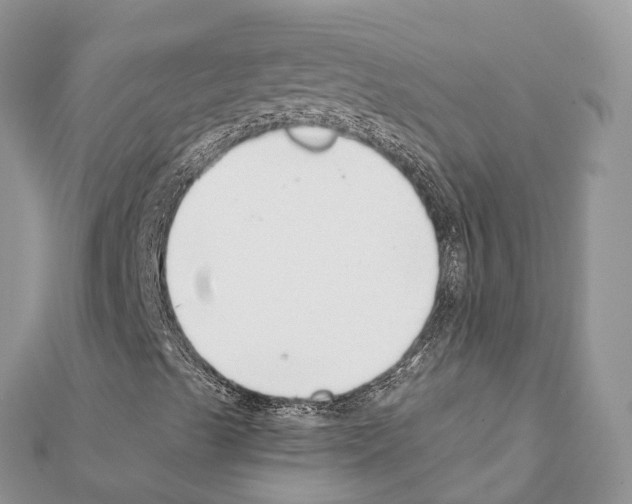 X0000111381489200908211328