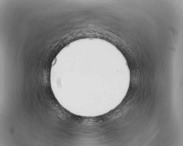 X0000111381490200908211328