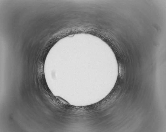 X0000111381492200908211328