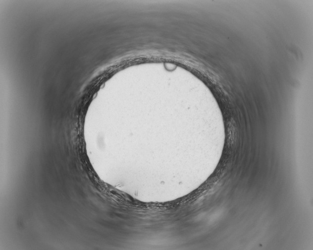 X0000111381494200908211328