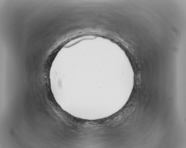 X0000111381496200908211328