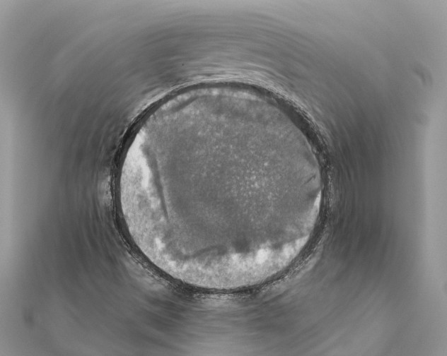 X0000111381497200908211328