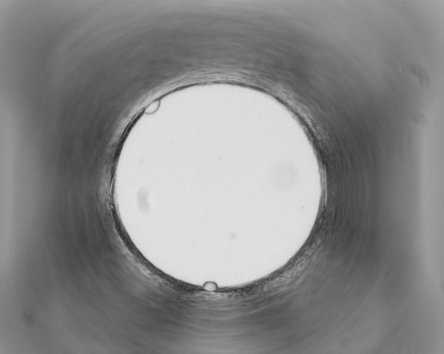 X0000111381500200908211328