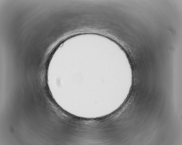 X0000111381502200908211328