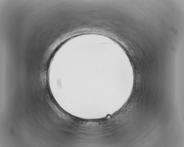 X0000111381503200908211328