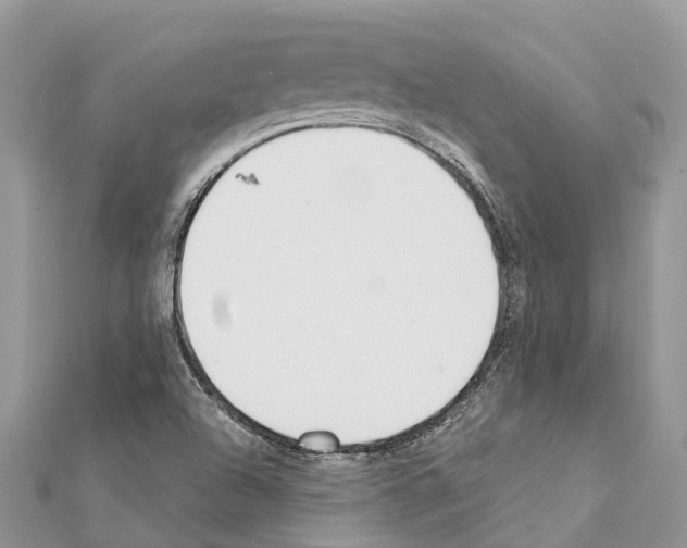 X0000111381504200908211328