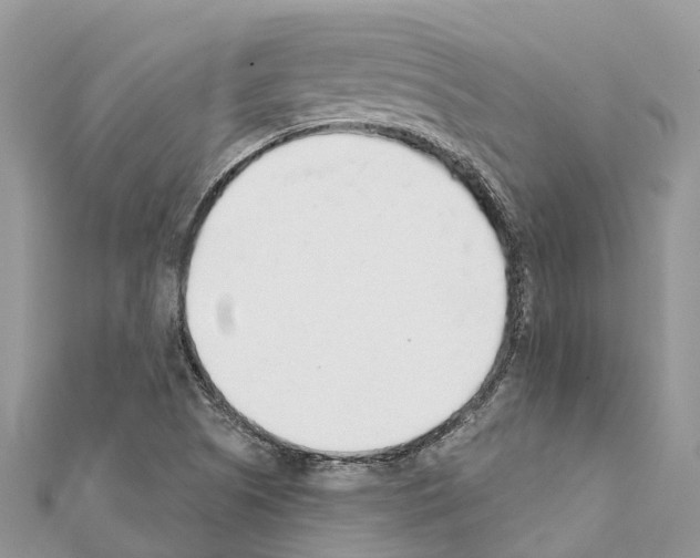 X0000111381505200908211328