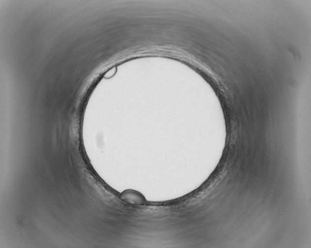 X0000111381506200908211328