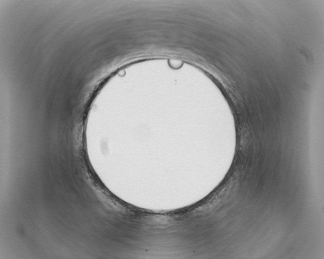 X0000111381507200908211328