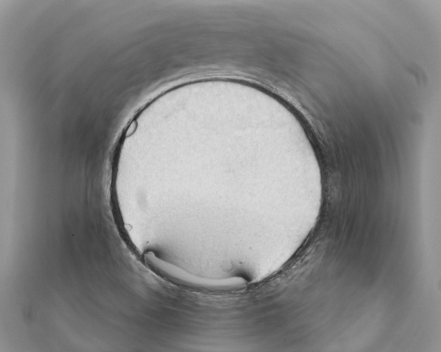 X0000111381508200908211328