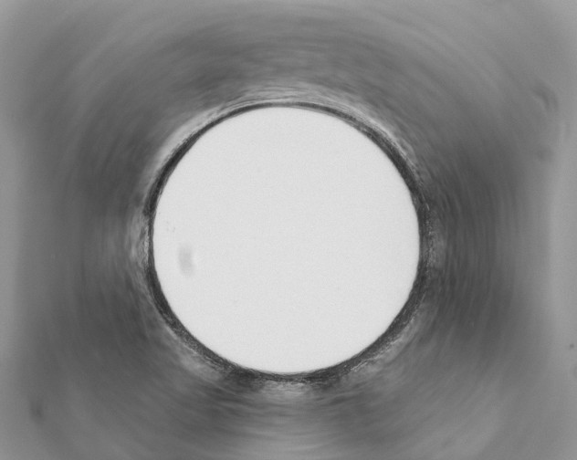 X0000111381509200908211328