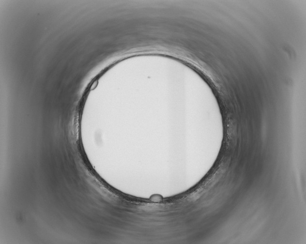 X0000111381510200908211329