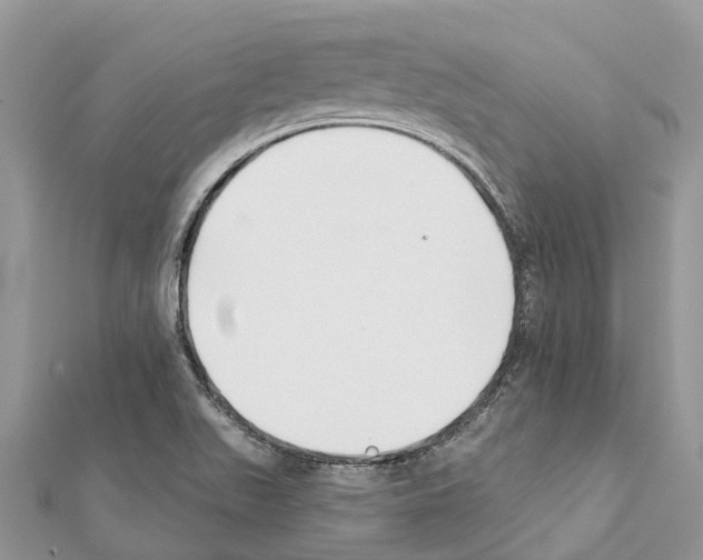 X0000111381511200908211329