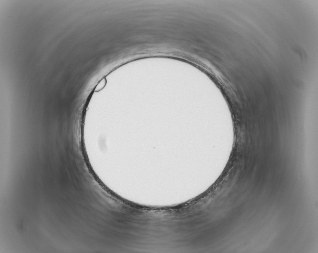 X0000111381512200908211329