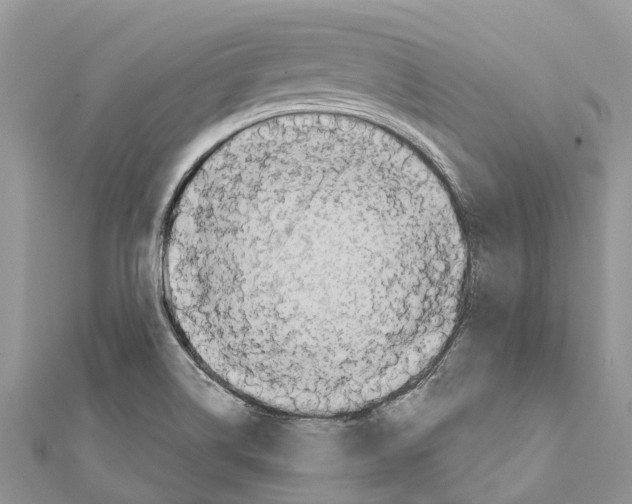 X0000111381514200908211329