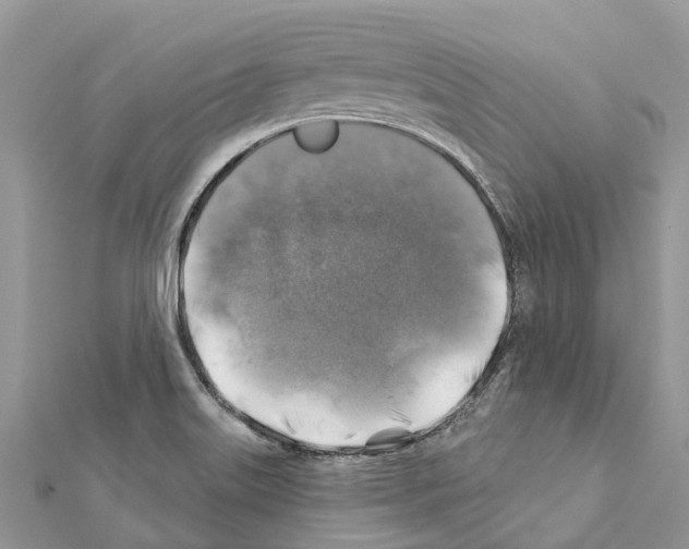 X0000111381515200908211329