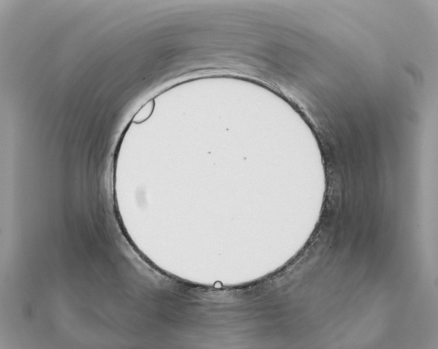 X0000111381516200908211329