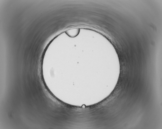 X0000111381518200908211329