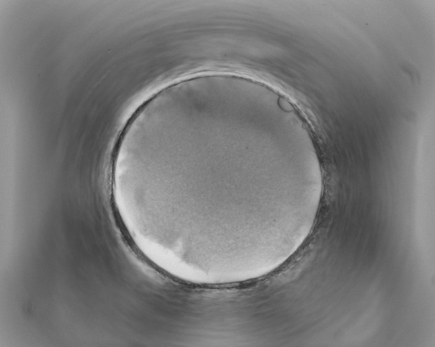 X0000111381519200908211329